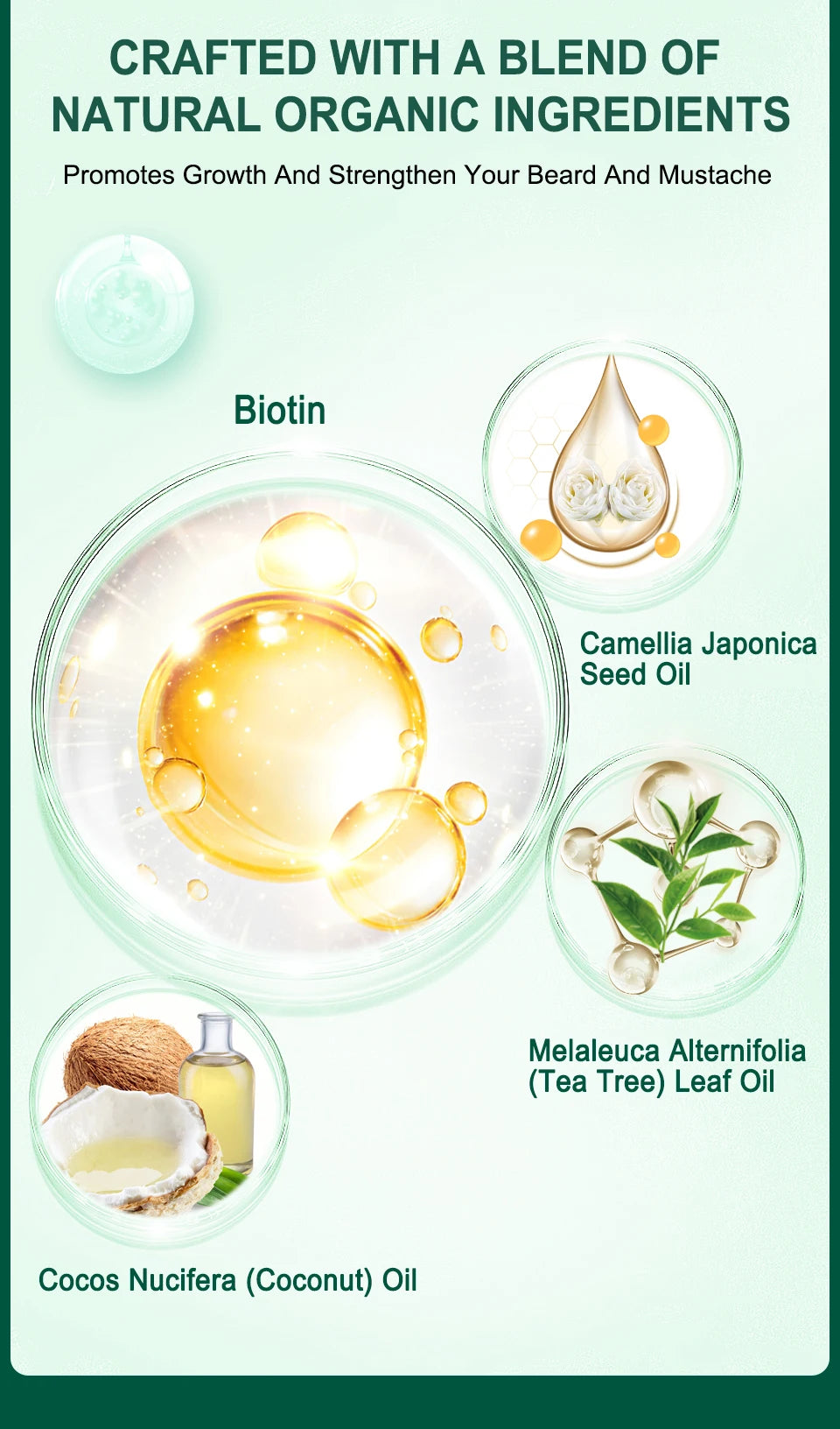 Beard Growth Kit For Men